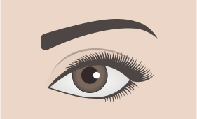 Soft Angled